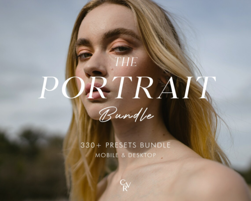 330+ PORTRAIT Bundle Presets