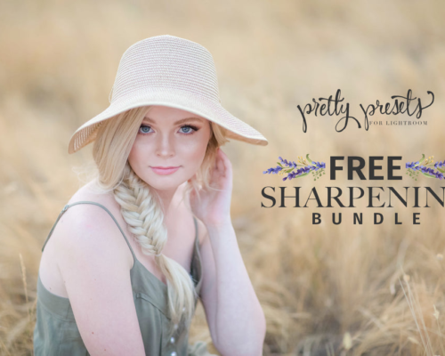 Sharpness Free Lightroom Presets