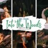 Into the Woods Free Preset Collection