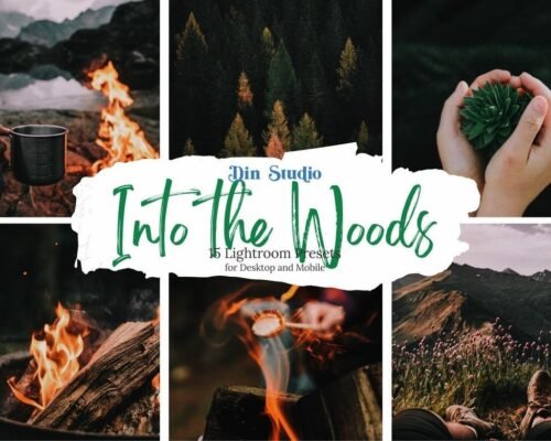 Into the Woods Free Preset Collection