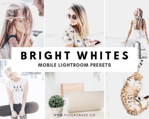 Bright Lightroom Presets