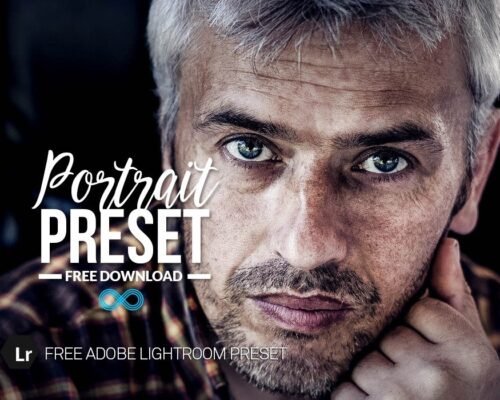 Free Pro Portrait Lightroom Presets