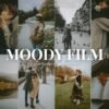 Moody Film Free Presets