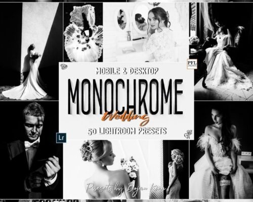 Monochrome Free Presets