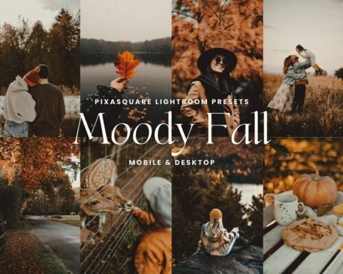 Moody Fall Free Presets