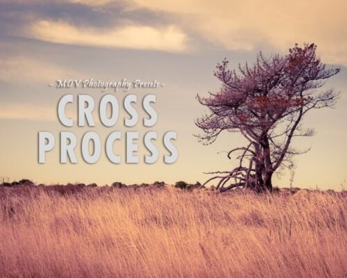 Cross Processing Lightroom Presets