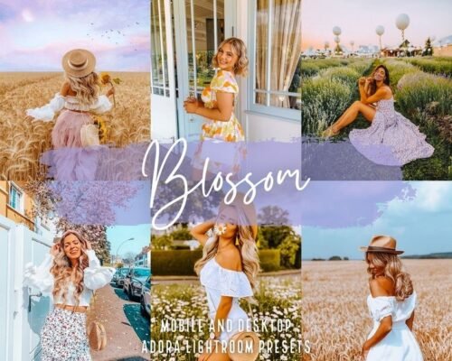 Blossom free presets