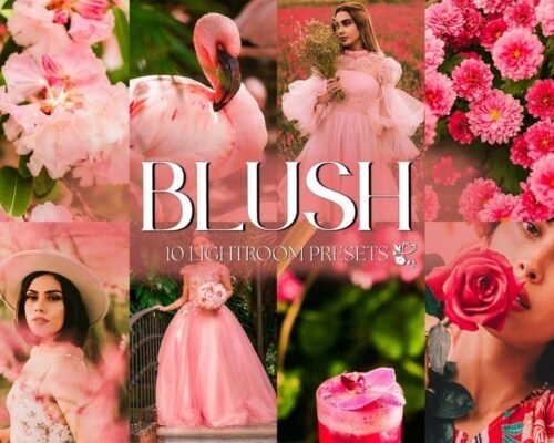 Blush free presets