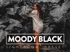 Dark Moody Lightroom Presets