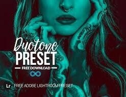 Free Duotone Lightroom Presets