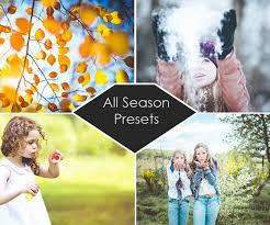 Seasons Lightroom Presets