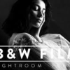 B&W Pro Lightroom Presets