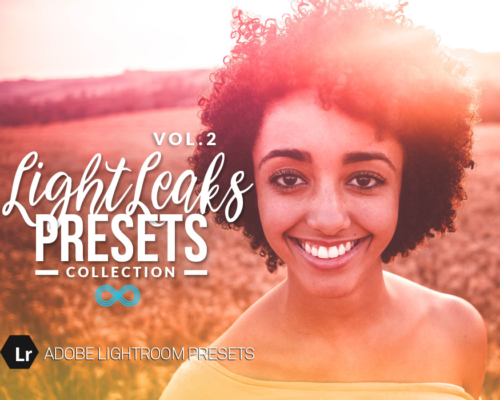 Portrait Lightroom Presets