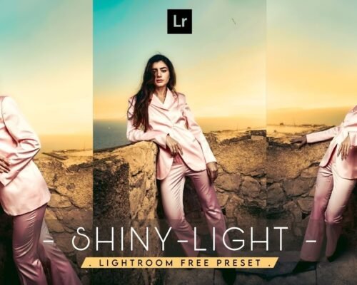 Shiny Lightroom Presets