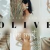 Free Hot Olive Lightroom Presets