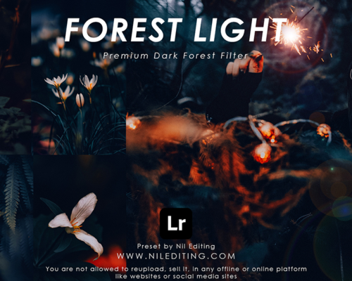 Light Lightroom Presets