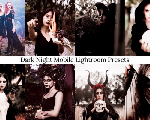 Night Witches Lightroom Presets