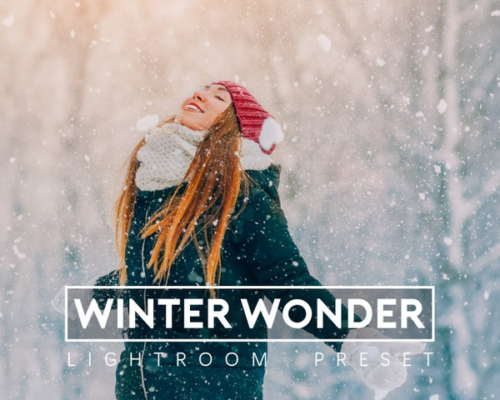 Winter Wonder Presets