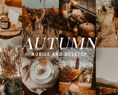 Insta Autumn Lightroom Presets