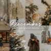 Winter Tone Presets