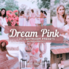 Pink Dream Presets