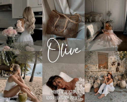 Olives Tones Film Presets