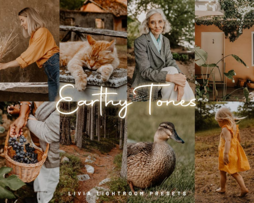 Rustic Earthy Presets Lightroom presets