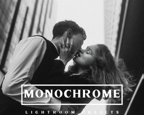 Monochrome Pro Lightroom Presets